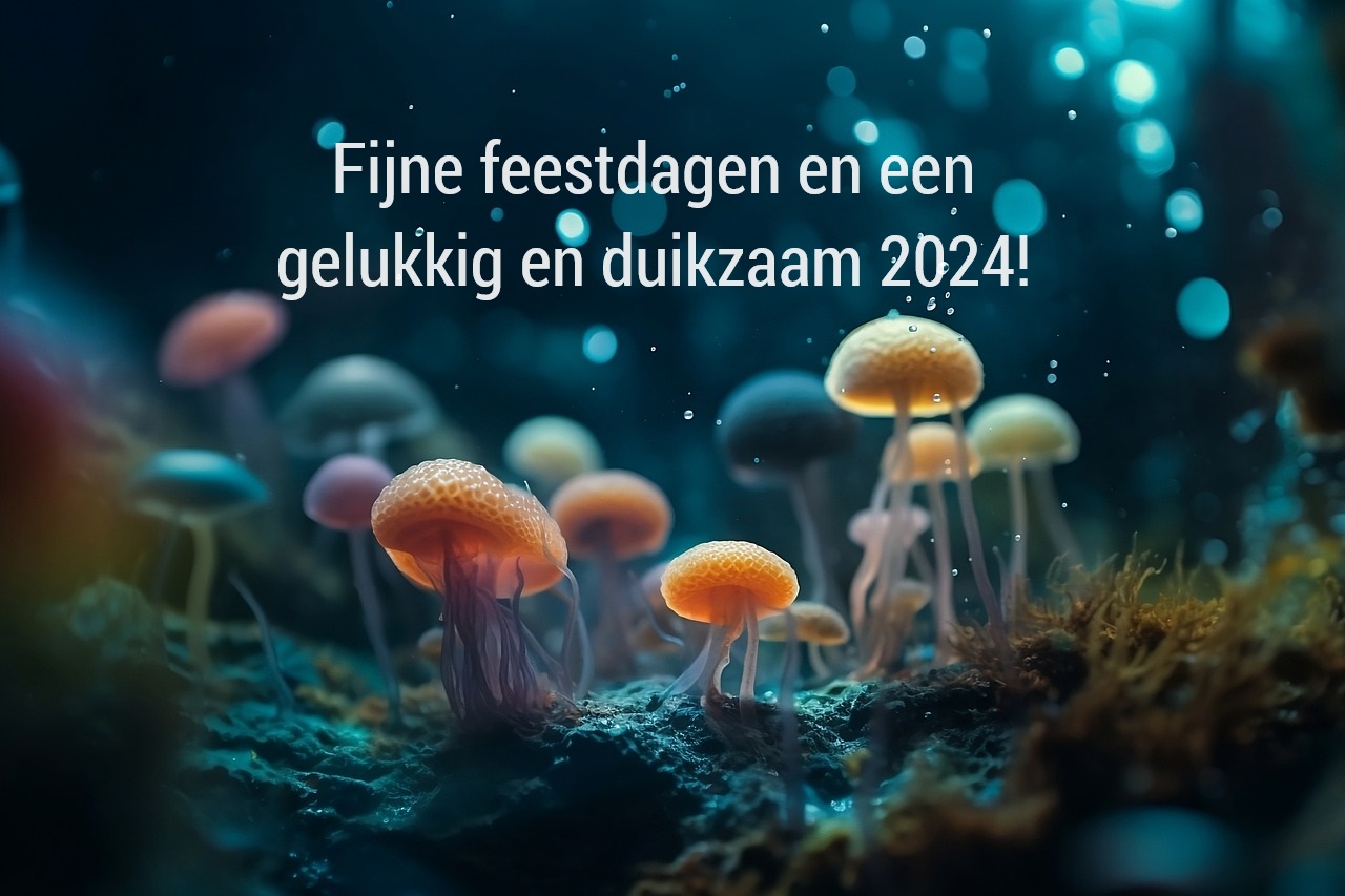 Fijne feestdagen en een gelukkig 2024